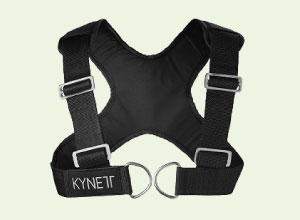 Harness_slide_2 Harness_slide_2